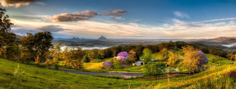Bald Knob - QLD. A scenic view bald knob with purple Jacarandas with of a lush green hill adorned with tree- panorama