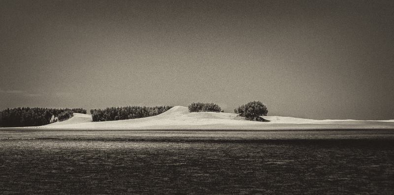 A monochrome image capturing an island sand dune
